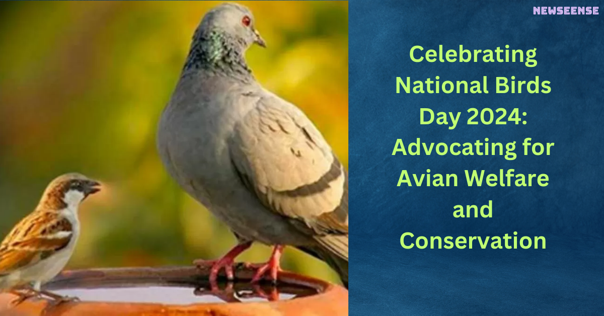 Celebrating National Birds Day 2024 Advocating for Avian Welfare and Conservation