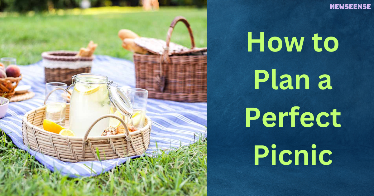 How to Plan a Perfect Picnic