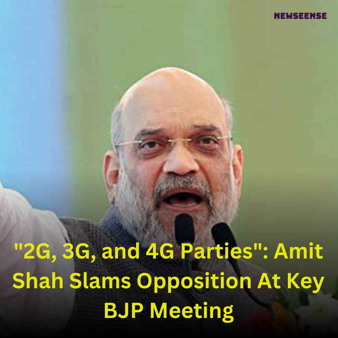 "2G, 3G, and 4G Parties": Amit Shah Slams Opposition At Key BJP Meeting