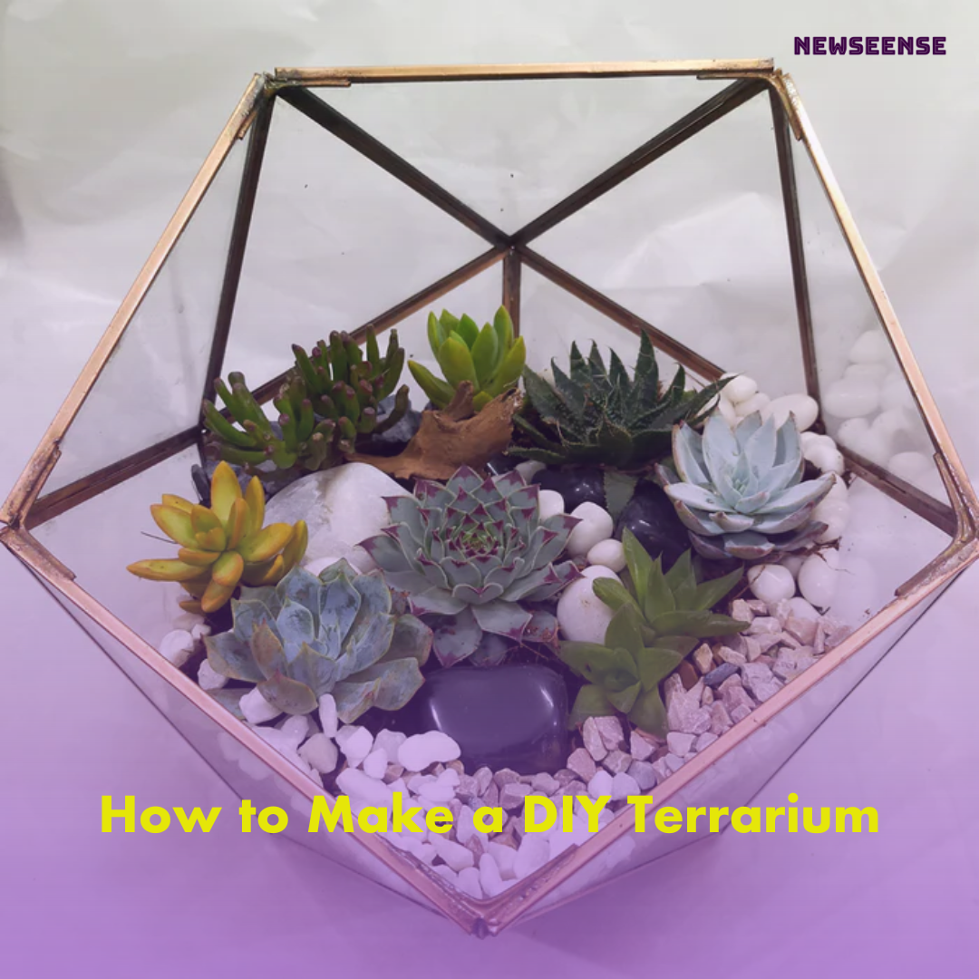 How to Make a DIY Terrarium