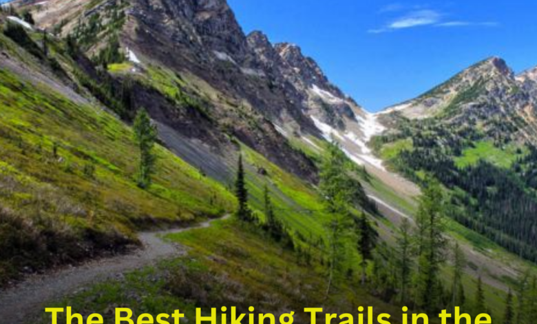 The Best Hiking Trails in the United States: A Journey Through Nature’s Beauty